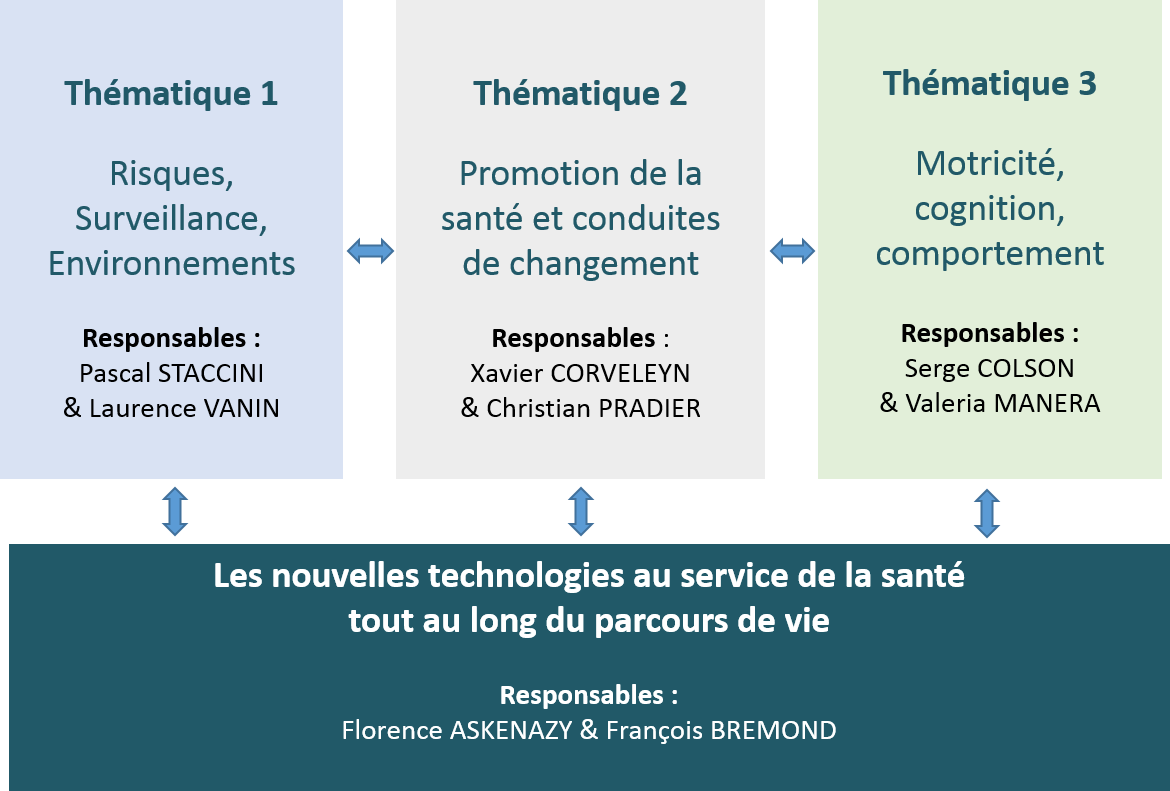 organigramme des thématiques de recherche et axe tranversal de la Fédération de recherche sur les Interventions en Santé